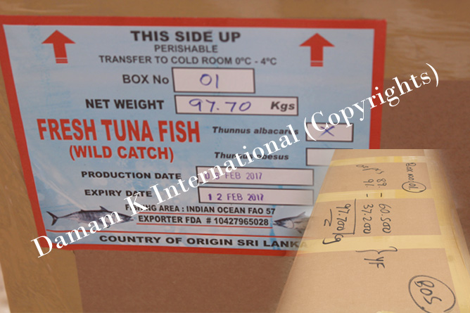 Master Cartoon Packing