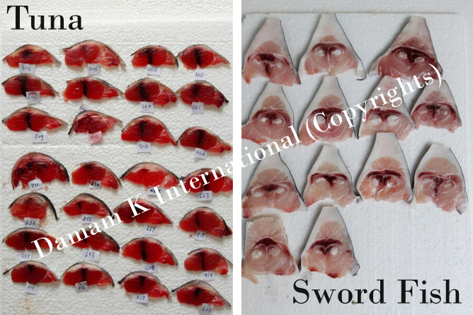 Tuna Fish Tail Cut Samples